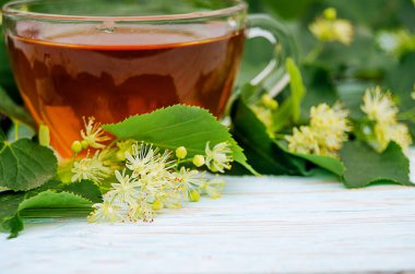 sıcak çay bir tencerede kireç kireç bir dalı ile yapılan