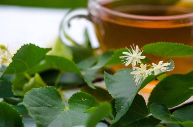 sıcak çay bir tencerede kireç kireç bir dalı ile yapılan