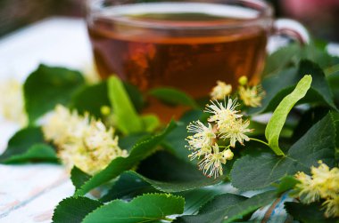 sıcak çay bir tencerede kireç kireç bir dalı ile yapılan