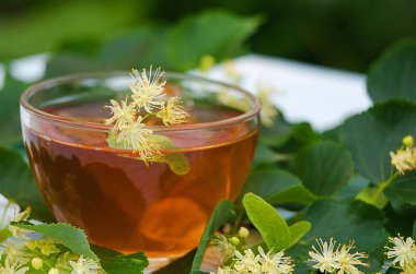 sıcak çay bir tencerede kireç kireç bir dalı ile yapılan