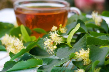 sıcak çay bir tencerede kireç kireç bir dalı ile yapılan