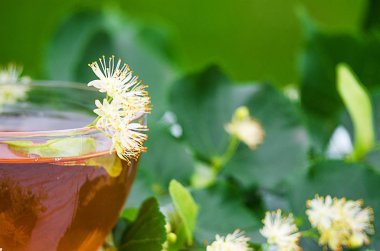 sıcak çay bir tencerede kireç kireç bir dalı ile yapılan