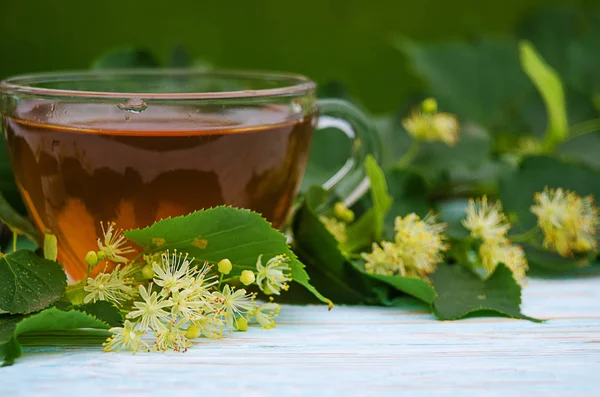 sıcak çay bir tencerede kireç kireç bir dalı ile yapılan