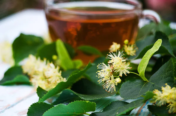 sıcak çay bir tencerede kireç kireç bir dalı ile yapılan