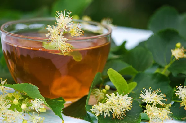 sıcak çay bir tencerede kireç kireç bir dalı ile yapılan