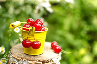 ağaçlar ve güneş bir arka plan üzerinde kırmızı Olgun Kiraz