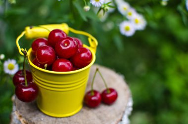 ağaçlar ve güneş bir arka plan üzerinde kırmızı Olgun Kiraz