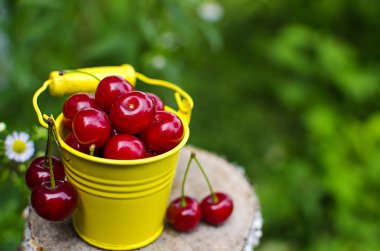 ağaçlar ve güneş bir arka plan üzerinde kırmızı Olgun Kiraz