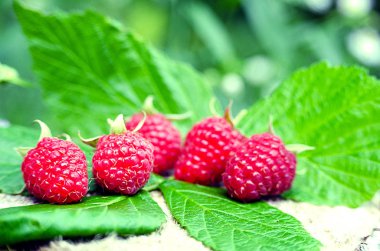 Kırmızı lezzetli tatlı ahududu ulaştı