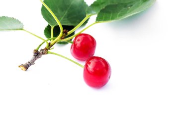 ağaçlar ve güneş bir arka plan üzerinde kırmızı Olgun Kiraz