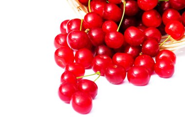 ağaçlar ve güneş bir arka plan üzerinde kırmızı Olgun Kiraz