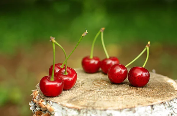 Cereza Roja Madura Sobre Fondo Árboles Sol — Foto de Stock