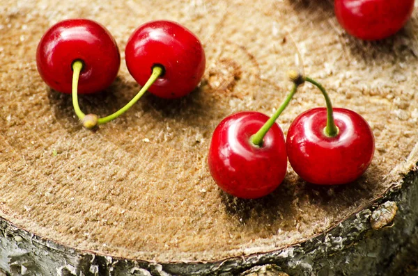 Cereza Roja Madura Sobre Fondo Árboles Sol — Foto de Stock