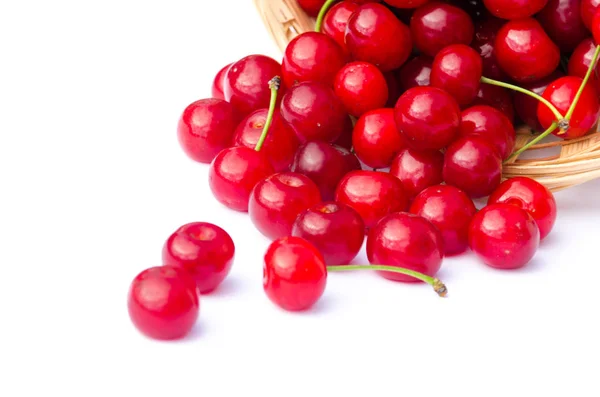 Cereza Roja Madura Sobre Fondo Árboles Sol — Foto de Stock