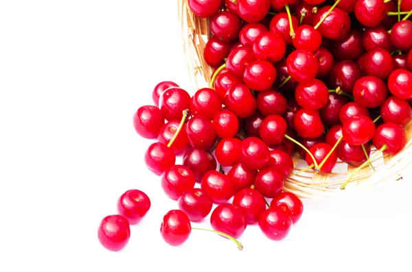 Cereza Roja Madura Sobre Fondo Árboles Sol — Foto de Stock