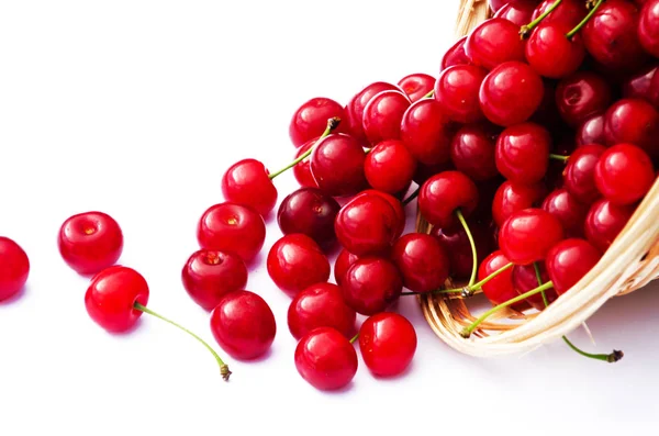 Red Ripe Cherry Background Trees Sun — Stock Photo, Image