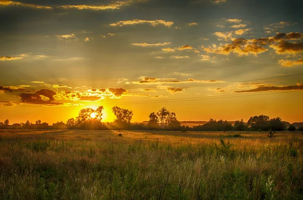 Glückliches Mädchen Auf Dem Feld Sammelt Blumen Für Einen Strauß — Stockfoto