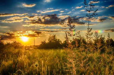 Gökyüzü ve günbatımı üzerinde çimler uzuyor alanı