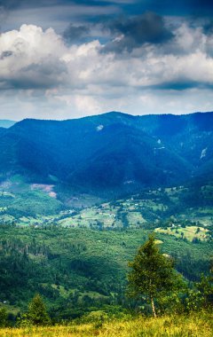 Ukrayna'da Karpat Dağları üzerinde yatay bir yaz gününde