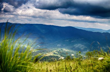 Ukrayna'da Karpat Dağları üzerinde yatay bir yaz gününde