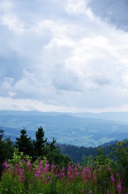 Ukrayna'da Karpat Dağları üzerinde yatay bir yaz gününde