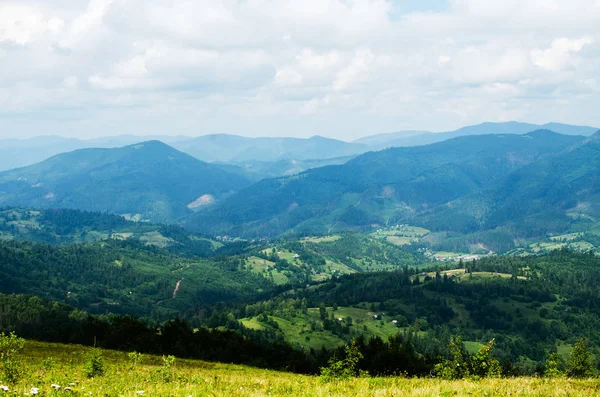 夏の日にウクライナのカルパチア山脈の風景 — ストック写真