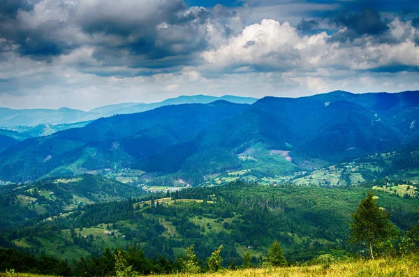 Paisagem Nas Montanhas Dos Cárpatos Ucrânia Dia Verão — Fotografia de Stock