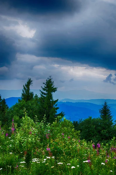 夏の日にウクライナのカルパチア山脈の風景 — ストック写真