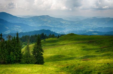 Ukrayna'da Karpat Dağları üzerinde yatay bir yaz gününde