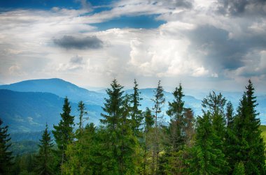Ukrayna'da Karpat Dağları üzerinde yatay bir yaz gününde