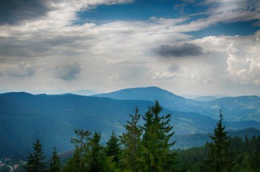 Güzel bir hediye için bir tatil anne bahar büyüyen leylak çalılar Şubesi