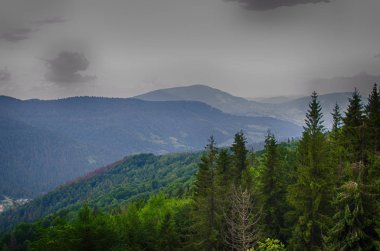 Ukrayna'da Karpat Dağları üzerinde yatay bir yaz gününde