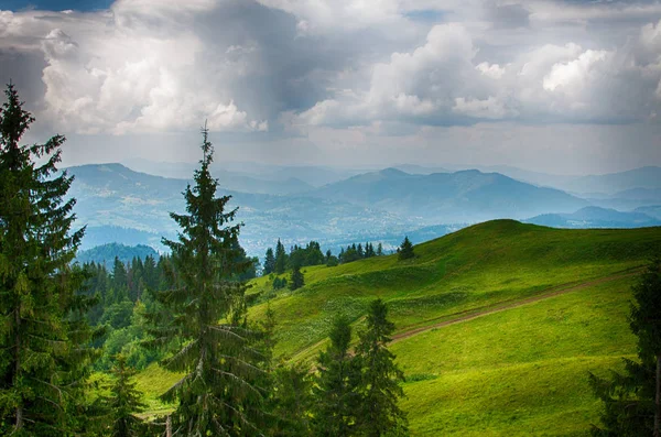 Paisagem Nas Montanhas Dos Cárpatos Ucrânia Dia Verão — Fotografia de Stock