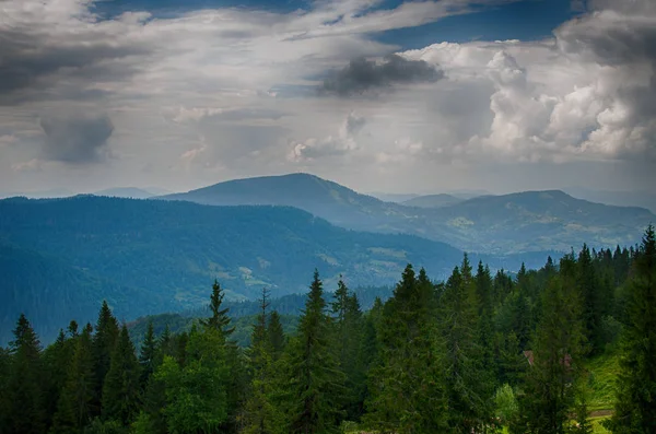 Landscape Carpathian Mountains Ukraine Summer Day — Stock Photo, Image