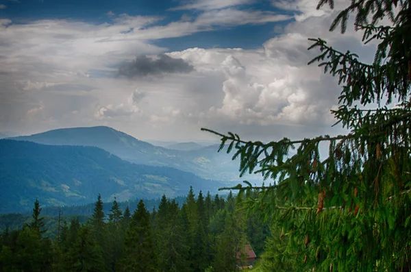 Die Landschaft Auf Den Karpaten Der Ukraine Einem Sommertag — Stockfoto