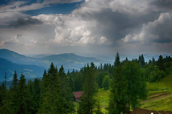 Die Landschaft Auf Den Karpaten Der Ukraine Einem Sommertag — Stockfoto