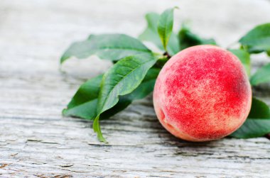 Bir şeftali ulaştı büyük meyve bir şube büyüyor