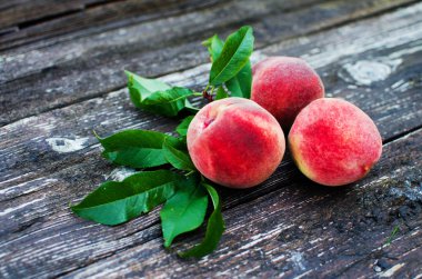 Bir şeftali ulaştı büyük meyve bir şube büyüyor