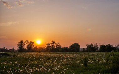 Gökyüzü ve günbatımı alanı 