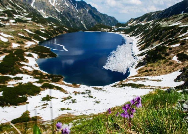El paisaje en las montañas Cárpatos en Ucrania — Foto de Stock