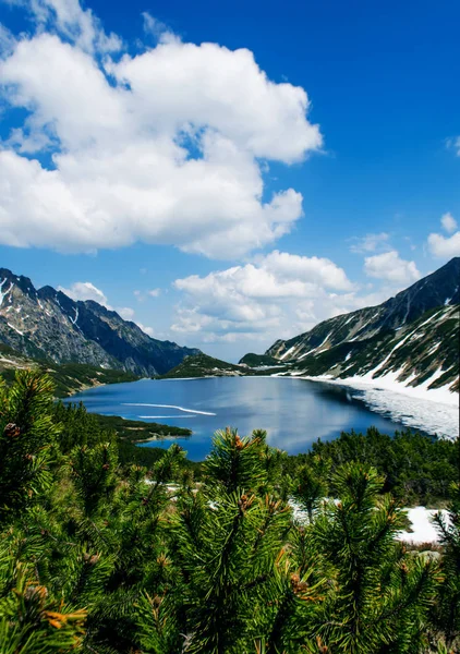 Ukrayna'da Karpat Dağları üzerinde peyzaj 
