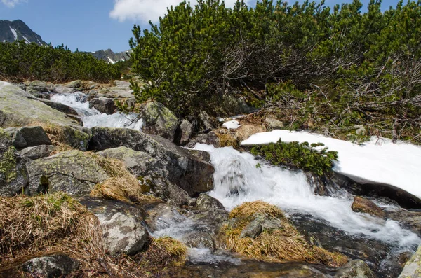 Ручей в горах течет вдоль скал и бурного вата — стоковое фото