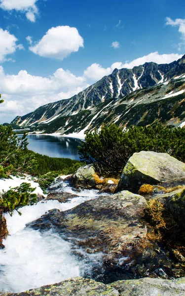 Landskapet på Karpaterna i Ukraina — Stockfoto