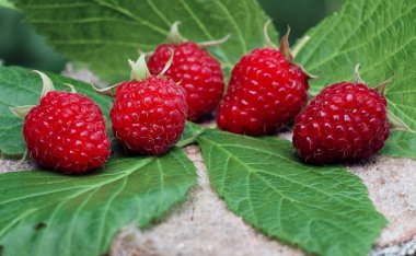 Kırmızı lezzetli ulaştı 