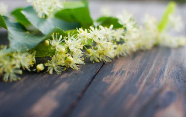 Sabah rahatlamak için bir fincanda sıcak ıhlamur çayı ya da soğuktan şöminenin yanında ısınmak için.