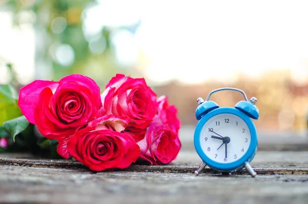 Belles Roses Fraîches Poussent Extérieur Été Pour Bouquet — Photo