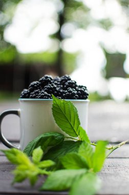 Ahududu Çalı 1-2 metre boyunda, yıllık bitki filizleri ve çiçek açan ağaç gövdeleri var.