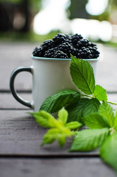 raspberry Shrub 1-2 m tall with annual vegetative shoots and woody biennial stems that form flowering shoots