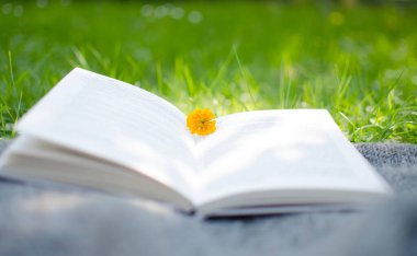 İyi bir dinlenme ve okuma için açık kitap ve çiçekler.