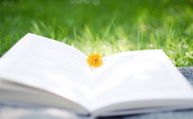 İyi bir dinlenme ve okuma için açık kitap ve çiçekler.